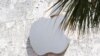 Apple to Disable Blood-Oxygen Feature on Premium Watches Sold in US 
