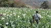 UN: Myanmar Overtakes Afghanistan as World’s Top Opium Producer