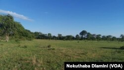 Nkayi Drought