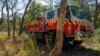 Australia Swelters Through Heat Wave as Bushfire Risk Grows 