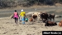 FILE: Omama abadinga amanzi edamu eMatabeleland South