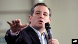 FILE - Republican presidential candidate, Sen. Ted Cruz, R-Texas, speaks at a rally.