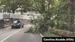 Ramas y troncos de árboles cayeron en distintas vías de Caracas, Venezuela, luego de las lluvias acompañadas con ráfagas de vientos el jueves, 29 de septiembre de 2022.
