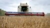 Who Donated Wheat to Afghanistan — Ukraine or US? 