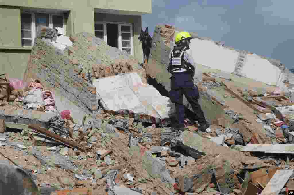 A rescue worker and a sniffer dog search for survivors at the site of a collapsed building in Kathmandu, May 12, 2015.