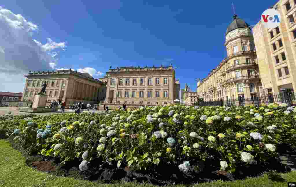 Los jardines contrastan de manera armoniosa con las edificaciones emblemáticos de la ciudad. En el fondo, se ve el Capitolio Nacional, sede del Congreso, y, a su derecha, el Colegio Mayor de San Bartolomé, uno de los más antiguos de Colombia, pues se construyó en 1604. &nbsp;[Foto: Karen Sánchez, VOA]