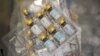 FILE - The monkeypox vaccine is seen inside a cooler during a vaccination clinic at the OASIS Wellness Center, Friday, Aug. 19, 2022, in New York.