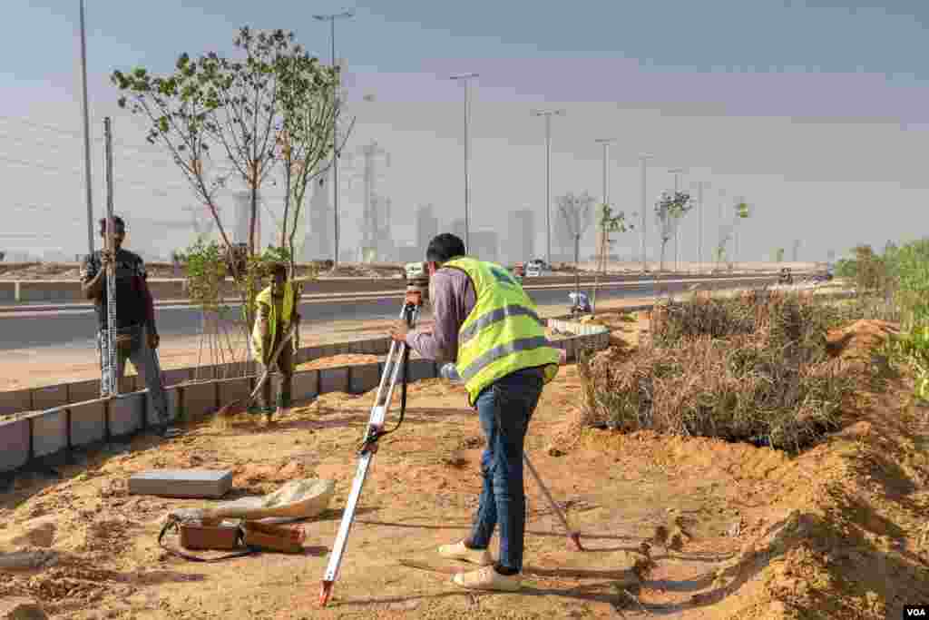 “It’s not only about cutting down trees in one area and replanting them in another,” says Alseidi, the environmental lawyer. “Because older trees don’t rely on irrigation water like new ones do” in Cairo’s new capital, August 7, 2022. (Hamada Elrasam/VOA