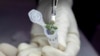 Científicos logran cultivar plantas en suelo lunar