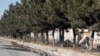 Islamic State Claims Responsibility for Kabul Attack 