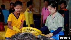 ထိုင်းရောက် မြန်မာရွှေ့ပြောင်းအလုပ်သမားများကို ထိုင်းနိုင်ငံရှိ စက်ရုံတခုမှာတွေ့ရ။ (ဇူလိုင် ၀၄၊ ၂၀၁၇)