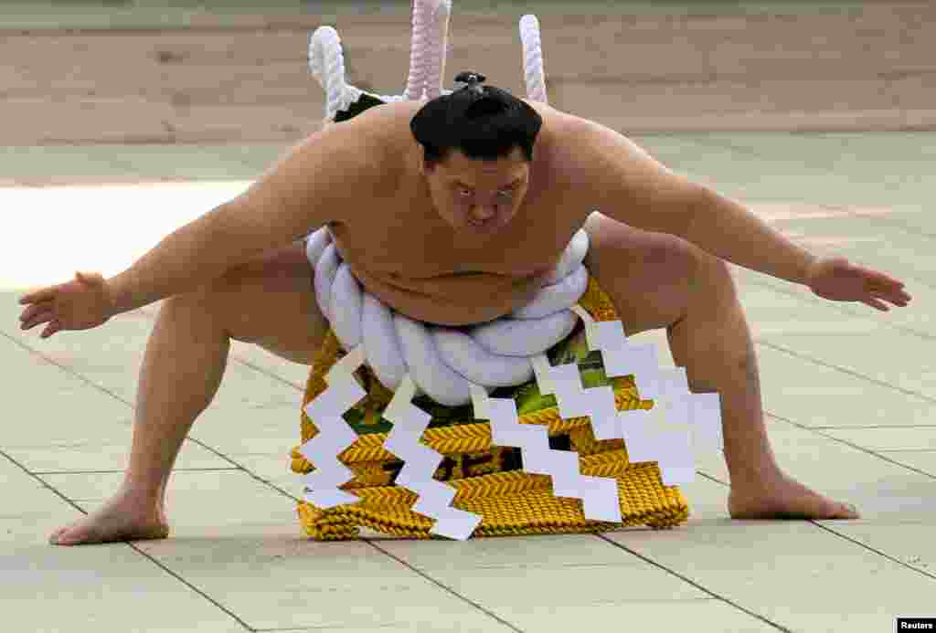 Mongolian-born grand sumo champion Yokozuna Hakuho performs the New Year's ring-entering rite at the annual celebration for the New Year at Meiji Shrine in Tokyo,Japan.