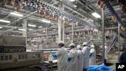 FILE - In this Dec. 12, 2019, file photo workers process chickens at the Lincoln Premium Poultry plant, Costco Wholesale's dedicated poultry supplier, in Fremont, Neb.