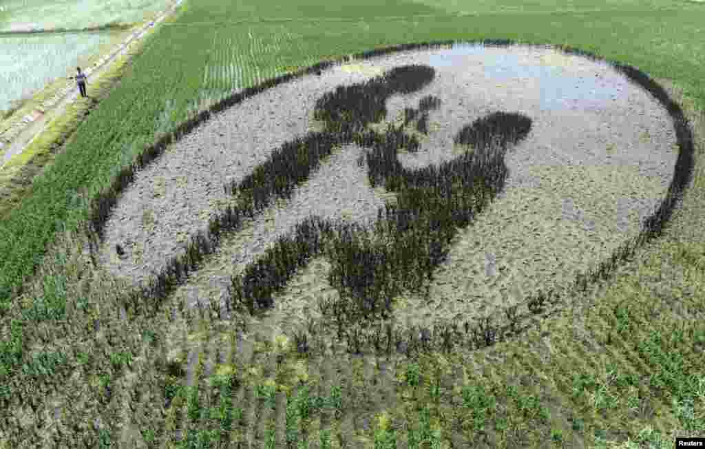 Lukisan mural seorang pria yang memberikan bunga kepada kekasihnya di persawahan di kota Shenyang, Liaoning, China.