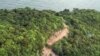 Rural-to-Urban Transition May Explain Viral Outbreaks: Vietnam Study