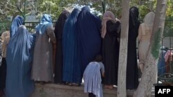 عکس: آرشیف