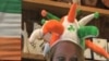 New York Suburb Claims to be More Irish Than Ireland 