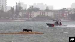 Una vista general de la Bahía de Biscayne en Miami, Florida, patrullada por la Guardia Costera de Estado Unidos.