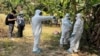 世界動物衛生組織：在法國巴黎附近的狐狸中發現禽流感病毒