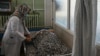 Global outcry grows over new Taliban decree targeting Afghan women 