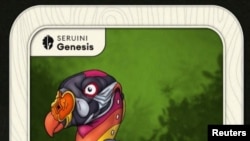 A non-fungible token (NFTs) of an illustration of a Brazilian king vulture by Los Angeles based graphic artist Ben Kwok.