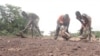 Akalla Mutane 3.6M Na Iya Fuskantar Matsalar Karancin Abinci A Ghana