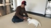 House Sitter dan Cat Sitter di AS: Kerja Santai di Rumah dengan Gaji Besar