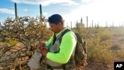 Oscar Andrade prays, Sept. 4, 2022, in the Ironwood Forest National Monument near Marana, Ariz., before searching for a missing Honduran migrant. The pastor heads a group that provides recovery efforts for families of missing migrants.