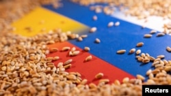 Ilustrasi yang menggambarkan biji-bijian di atas bendera Ukraina dan Rusia pada 9 Mei 2022. (Foto: REUTERS/Dado Ruvic)