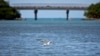 Inicia dragado en puerto de Puerto Rico; ambientalistas advierten amenaza a tortugas y corales