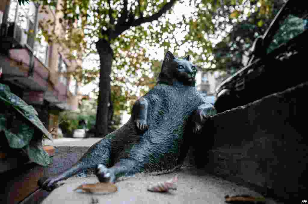 Patung "Tombili Cat" seekor kucing di distrik Ziverbey, Istanbul, Turki yang tewas bulan Agustus lalu setelah menjadi populer di media sosial.