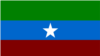  ኦብነግ “የኦጋዴን ብሔራዊ ባንዲራ” የሚለው ባንዲራ /ፎቶ - ከዊኪፔድያ የተገኘ/