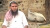 Cow Vigilantes Spark Fears in India's Muslim-dominated Villages 