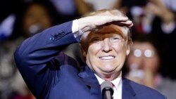 Análisis sobre política y Donald Trump