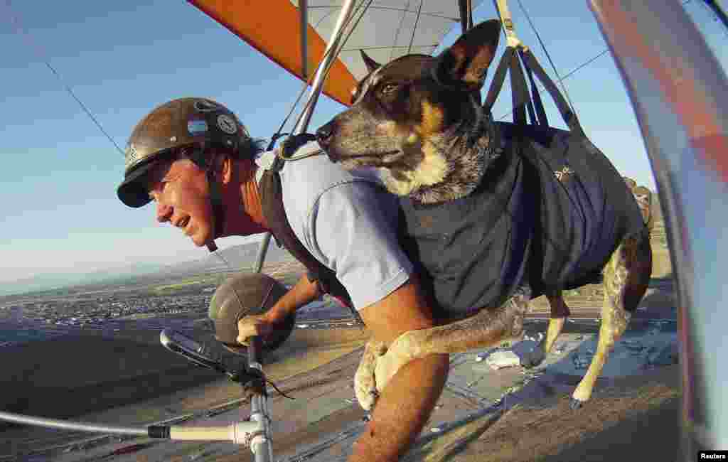 Dan McManus dan anjingnya 'Shadow' melakukan paragliding bersama di luar kota Salt Lake City, negara bagian Utah, AS.