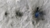 NASA Spacecraft Records Sounds of Space Rocks Hitting Mars