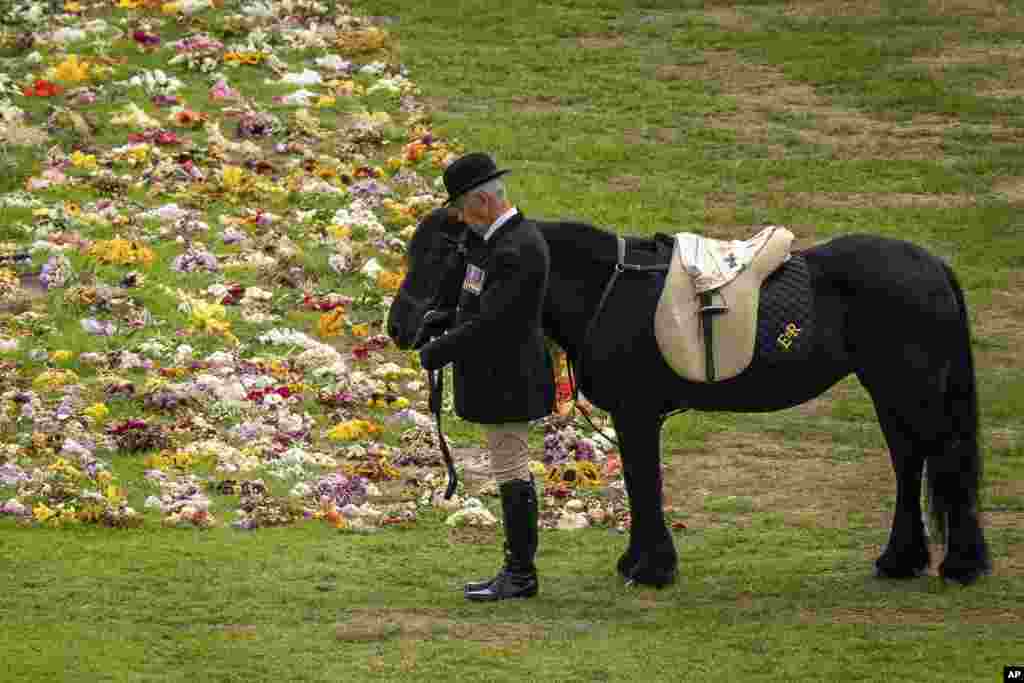 Emma, the monarch's fell pony, watches the Ceremonial Procession of the coffin of Queen Elizabeth II arrives at Windsor Castle for the Committal Service at St. George's Chapel.