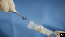 76 de los 78 municipios de Puerto Rico registran casos de Zika y un total de 553 mujeres embarazadas están infectadas con el virus.