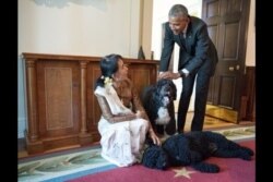 El presidente Barack Obama y Aung San Suu Kyi, consejera de Estado y ministra de Relaciones Exteriores de Myanmar, visitan a Bo y Sunny en la Sala de Gabinete de la Casa Blanca tras su reunión bilateral, el 14 de septiembre de 2016.