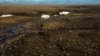 Lawmakers Renew Push for Drilling in Alaska Wildlife Refuge