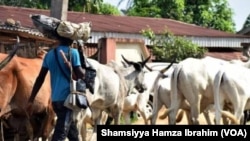 Fulani