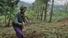Uncertainties Surround Farming Reform in Tanzania