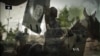 US vs. IS: One Year Along, Conflict Rages