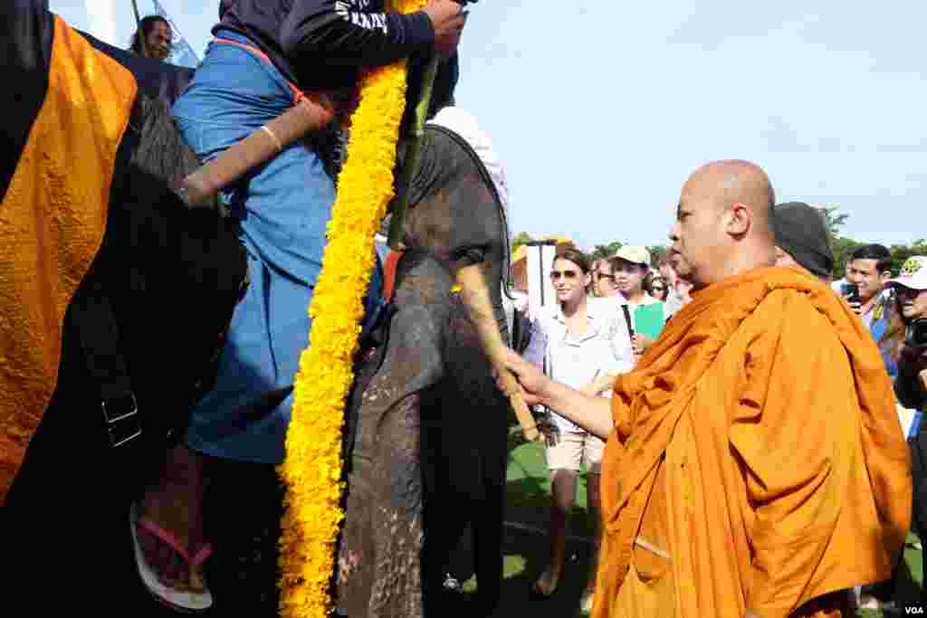 A monk blesses the elephants prior to the start of the polo match, 2014 King's Cup Elephant Polo Tournament in Samut Prakan province, on the outskirts of Bangkok, Aug. 28, 2014. (Steve Herman/VOA).