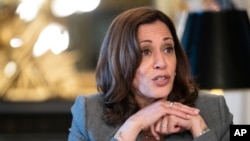 Vice President Kamala Harris speaks during a meeting about abortion rights and Roe v. Wade, June 14, 2022, from her ceremonial office at the Eisenhower Executive Office Building on the White House complex in Washington.