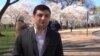Vaşinqton Sakura Festivalını qeyd edir [Amerikana]