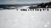1.5 Million Penguins Discovered on Remote Antarctic Islands