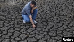 La cosecha de maíz ha sido una de las más perjudicadas por la severa sequía en EE.UU.