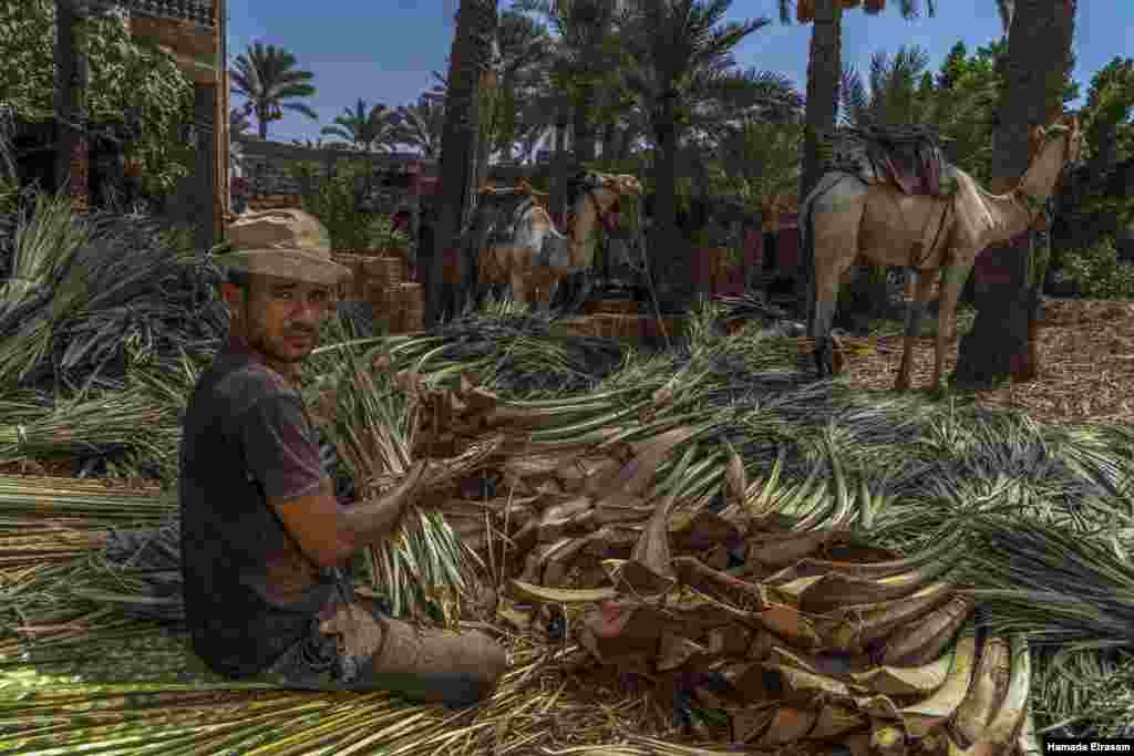 "I usually produce garden furniture or boxes for vegetables and fruits, but plastic is beating out all our natural products," says Eid, 28, a palm weaver and craftsman of 15 years, in Cairo, September 9, 2021. (VOA/Hamada Elrasam)