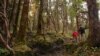 Cut Emissions and Poverty, Not Trees, by Letting Locals Manage Forests, Scientists say